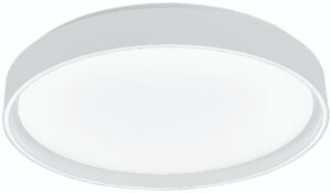 DI-12-18WWH-CCT-Z
