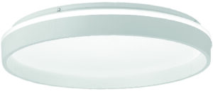 DI-16-36WWH-CCT-Z