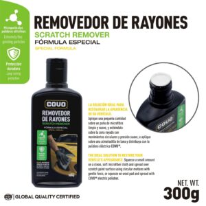 CV-SR300