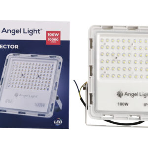 M63-FL-100W
