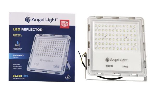M63-FL-100W