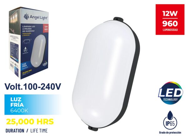 AL-FCE-12W-B