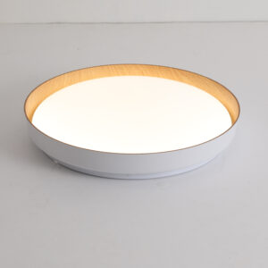 DI-578-12WWH-CCT-Z