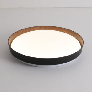 DI-579-24WBK-CCT-Z